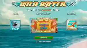 Wild Water