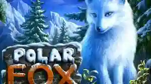 Polar Fox