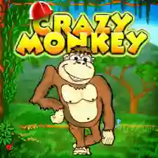 Crazy monkey